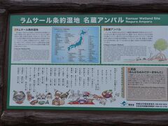 ラムサール条約で保護されている名蔵アンパルです。