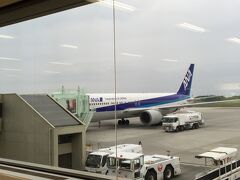 ANAに乗って帰京します。