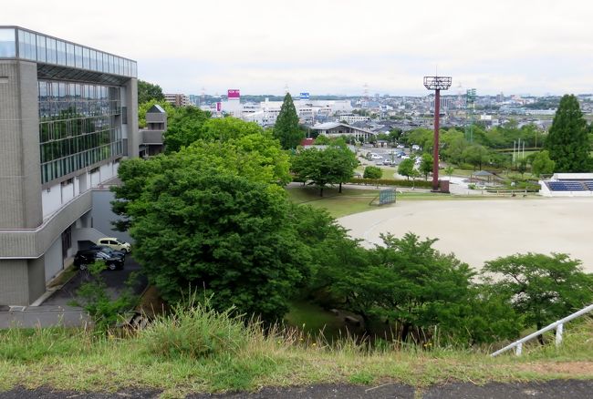 2015梅雨、尾張・三河の紫陽花巡り:三好公園(1/8):三好池、周回道路のアジサイ、金糸梅、姫女苑、大金鶏菊