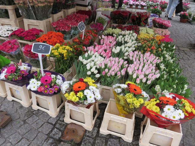 土曜日のマルシェの花たち<br /><br />あれもこれも買いたいよ〜^ ^