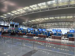 大成建設のコマーシャルでお馴染みのノイバイ空港です。大晦日にオープンしたてで真新しい匂いが充満してます。