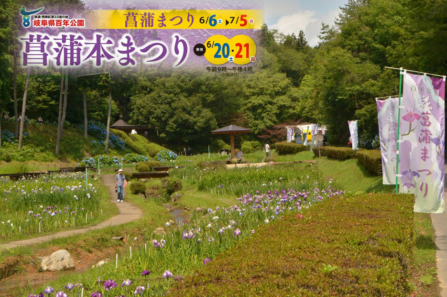 岐阜県百年公園花菖蒲園 菖蒲本祭り 関 岐阜県 の旅行記 ブログ By 風に吹かれて旅人さん フォートラベル