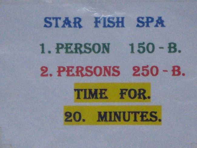 魚は、スターフィッシュと言われているようです。