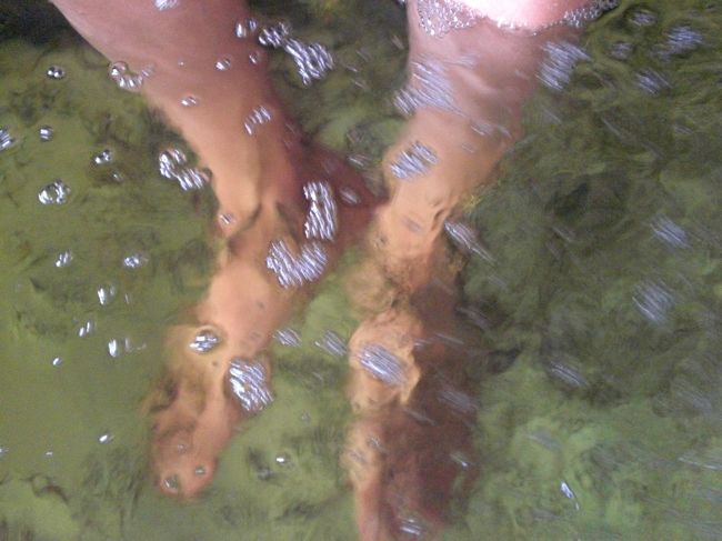 魚が寄って来てます。