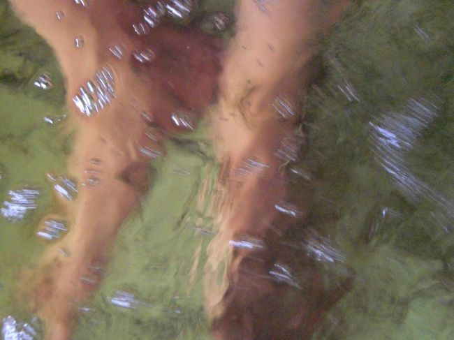 魚が老廃物を食べているようです。<br />併せて、脚の皮膚を刺激しています。