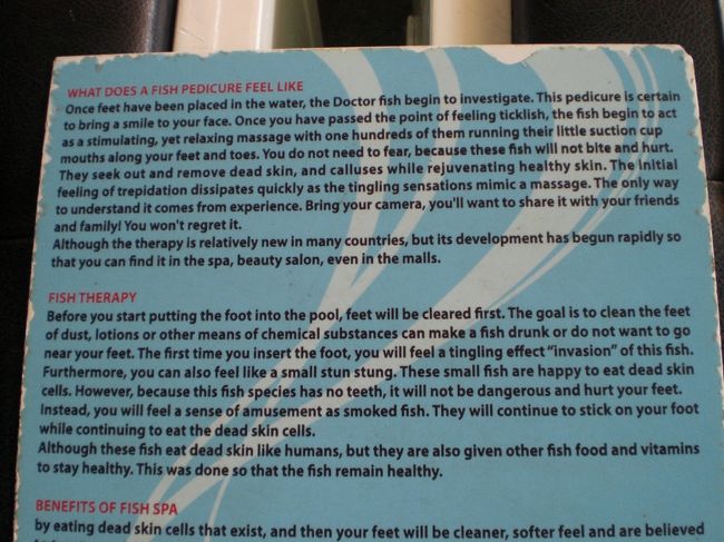 効能書きが置かれていました。<br />なんとなく、意味が解ります。<br />多分、効果があるのでしょう。