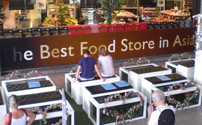 観光地における新たな試みかも知れません。<br />楽しげです。