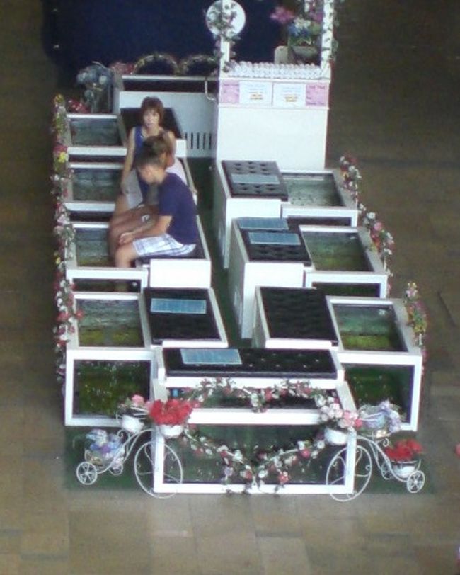 試している人がいます。