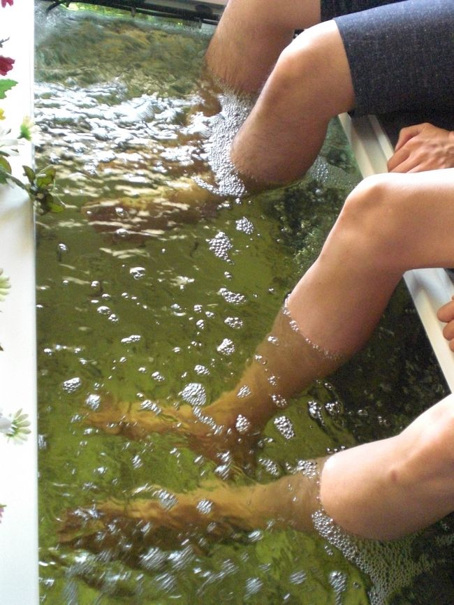 脚を入れると、魚が寄って来て、足の皮膚に付いいている老廃物を食べます。