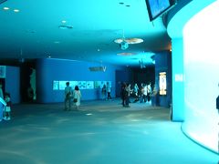 名古屋港水族館。
まずは入り口に近い北館。
