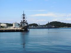 青く晴れたヴェルニー公園から軍港を見る。
注目のいずもはどこかに出航中だった。米軍第７艦隊に新たに配備された巡洋艦「チャンセラーズヒル」は、ここからは見えない。