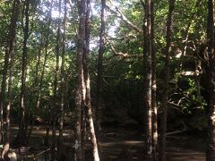 干潟では紅白のシオマネキやトビハゼ、巨大シジミを探します。時々、巨大な泥蟹にも遭遇する事があるそうです。願い事が叶うパワースポットにも案内してもらいました。