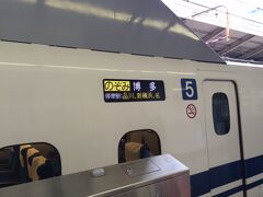 今回は、法事のため奈良へ親族が集合。
皆は先に行きましたが、仕事だった私と部活だった息子の2人で遅れて奈良へ向かう。
東京 → 京都 → 奈良