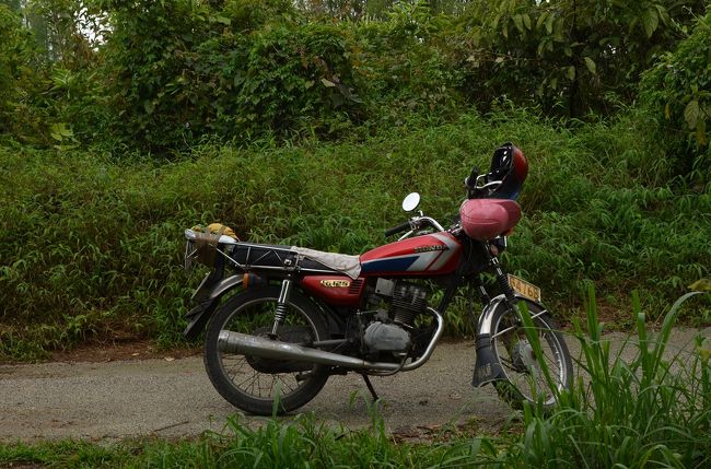 一日乗ったバイク