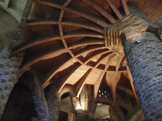 茸のひだみたいな感じ<br /><br />