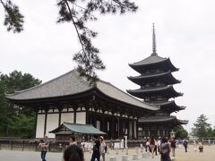 興福寺の中で、常に内部見学が出来るのは、東金堂と国宝館だけです。