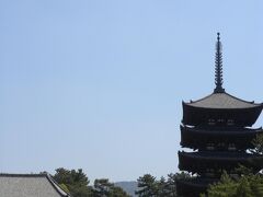 チケット売り場から振り向いて一枚

塔の左側が東金堂です