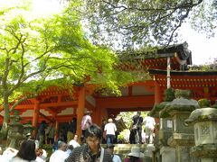 春日大社に到着です

結構混んでますね…