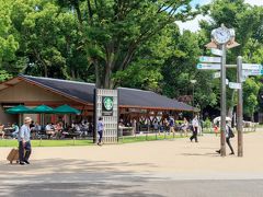 そこから東京国立博物館に向かって歩いて行くと
大きなスタバが
ここのスタバは、開放感があっていいですね〜