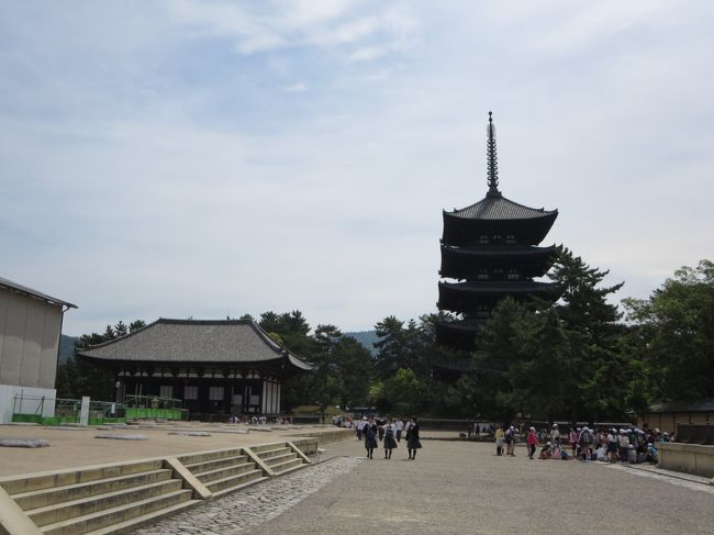 大好きな五重塔と、金堂。<br /><br />阿修羅さまには、また今度お会いすることにします。