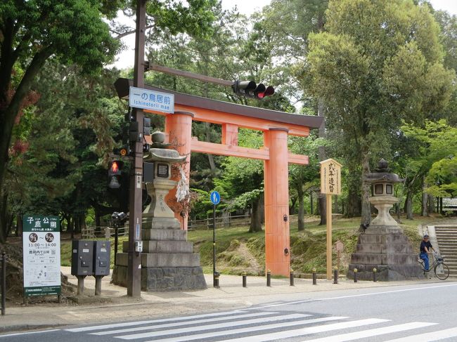 大鳥居が見えてきました♪