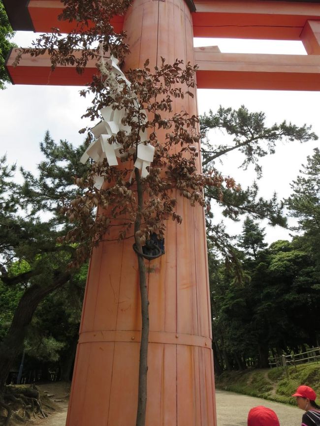 車で、この横を通ることが多いのですが、間近で見ると、大きい！！！
