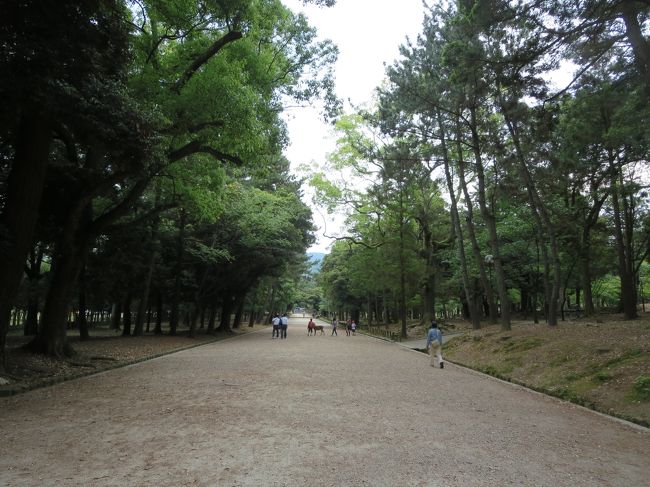 人も少なく、木々が影を作ってくれているので、涼しく最高です♪<br /><br />歩いていると、どこかの小学校の遠足に出会いました。<br />一人の、可愛らしい女の子が「おはようございます！」と声をかけてくれて、他の子どもたちも一斉に「おはようございます！」と、言ってくれました(*^_^*)<br /><br />「おはようございます！」と返すと、皆ニコっとしてました(^O^)<br /><br />きちんと挨拶してくれる子どもたちって、本当に嬉しいですね♪<br />日本の未来も、捨てたもんじゃない、と思いますヽ(^o^)丿