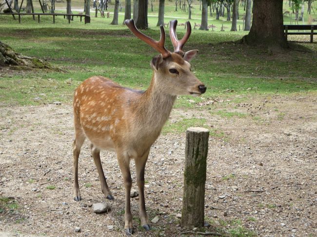 おはよう♪<br /><br />あ、むっちゃ眠そうです(^_^;)