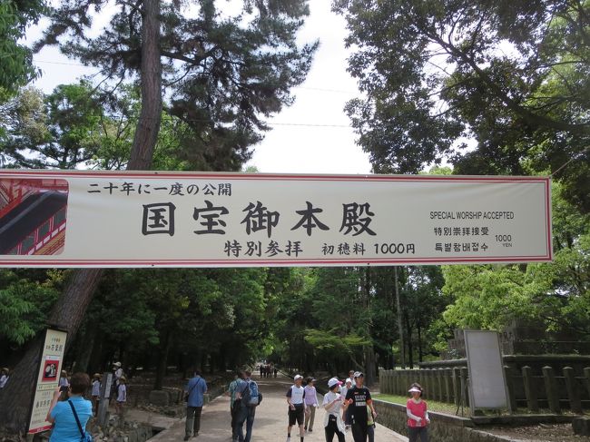 これこれ！<br /><br />２０年に一度の、国宝御本殿の特別公開を、拝見しに来たんですヽ(^o^)丿