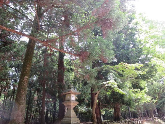 石灯籠を見ながら、てくてく・・・