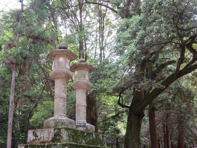 表参道には、数えきれないくらいの石灯籠があるんですよ♪