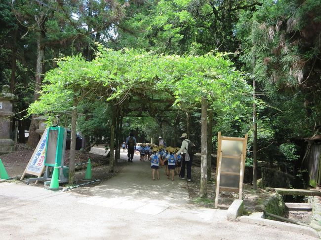 遠足の子供たちが、入っていきました。<br /><br />綺麗に咲いてるといいね！！！