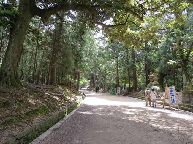 子どもたちを見送って、私はてくてく・・