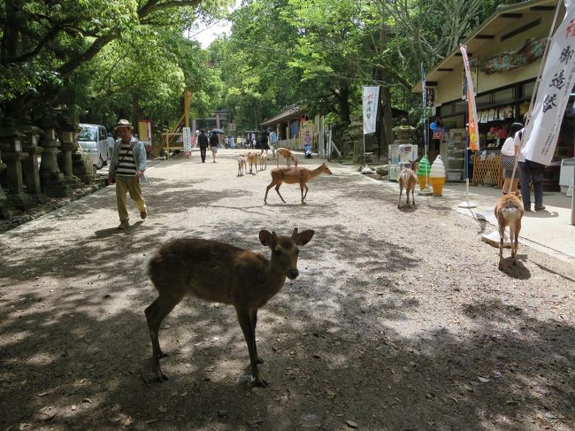 とうせんぼ、しちゃうぞ！！！