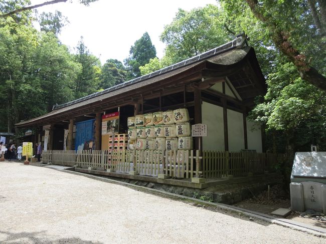 日本酒がいっぱい！
