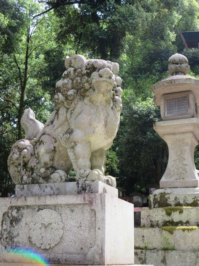 吽の狛犬さま♪