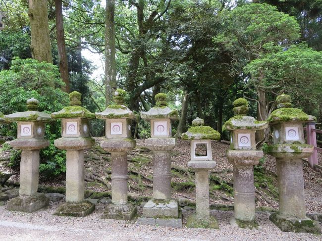 石灯籠の苔が、趣があって素敵です。