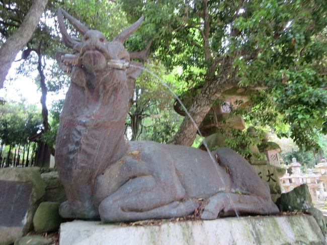 祓戸神社の手水所で、手と口を清めます。