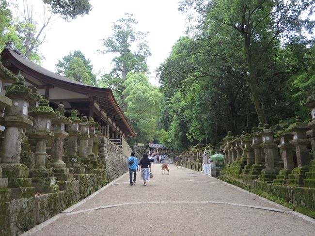 では、南門を目指して、坂を上っていきます。