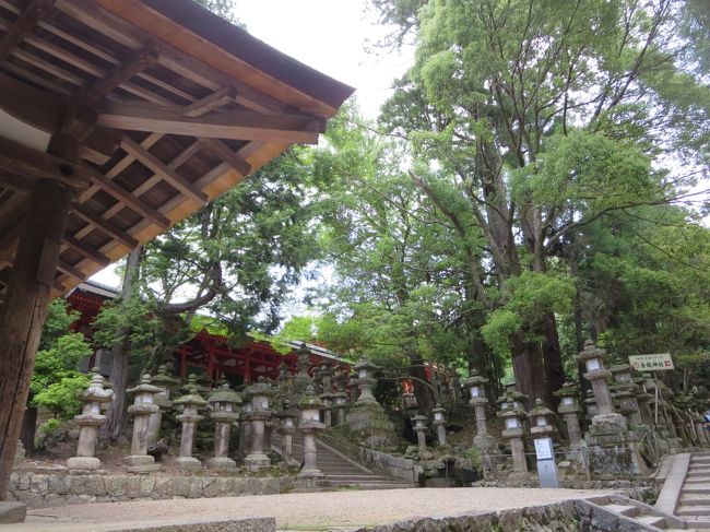 ここで、左に曲がると・・・