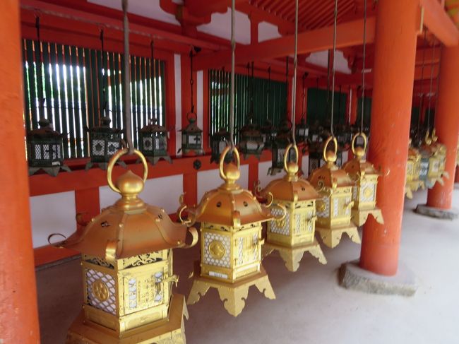 美しい吊燈籠横を歩いていきます。