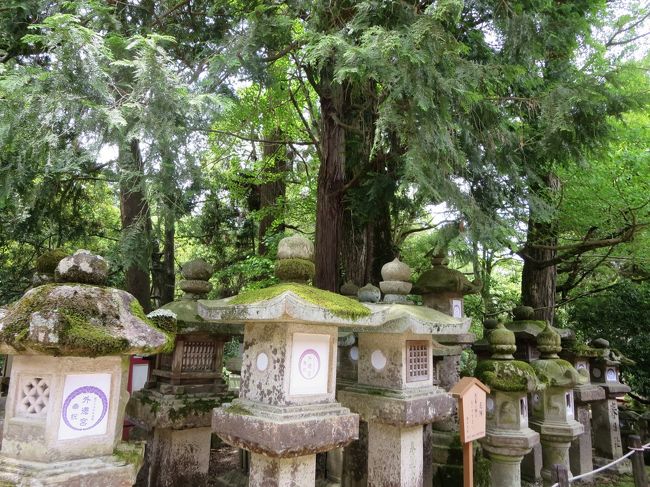 御本殿は４つあります。<br />それぞれ、ご祭神がいらっしゃるのですが、第一の御本殿の神様は、鹿島神宮からいらっしゃいました。<br />第２の御本殿の神様は、香取神功から来られました。<br /><br />第３と第４の神様は、ご夫婦だそうです。