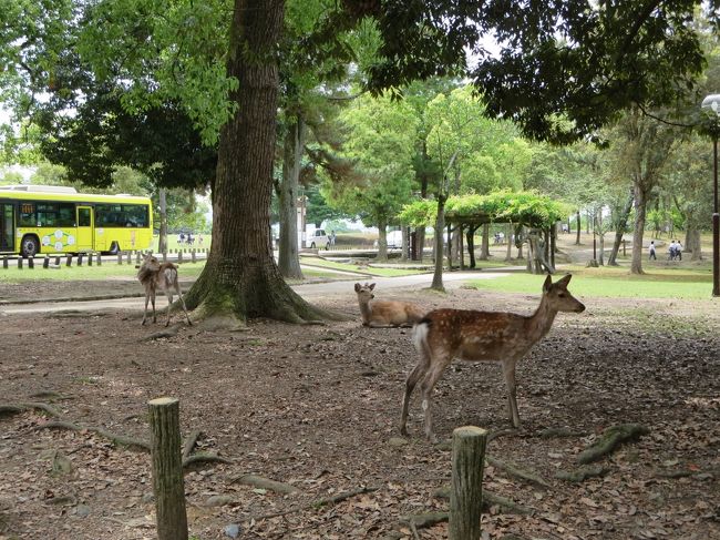 本殿や、磐座など、説明が聞けてラッキーでしたヽ(^o^)丿<br /><br />でも、このツアーの方たち、道をふさぐので、どちらにしても先には行けなかったのですけどね(^_^;)