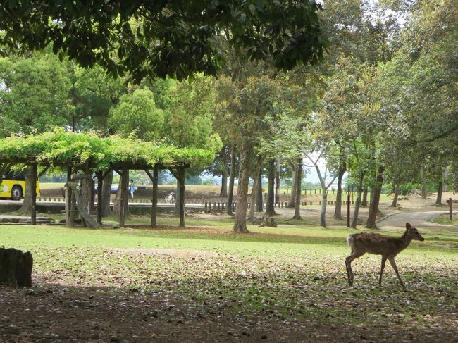 他に、後殿（うしろどの）、御仮殿も参拝できました♪