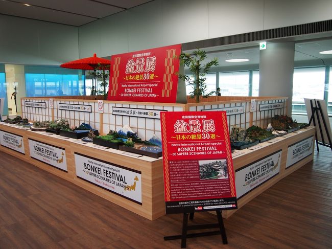 途中、盆景展の展示が。