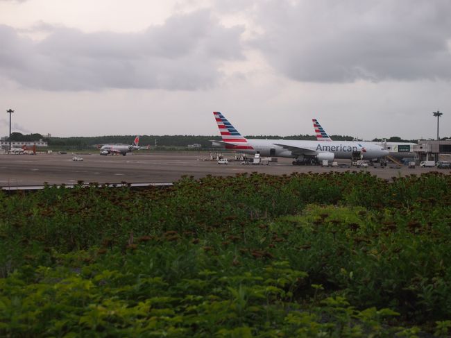 窓からの景色。<br />アメリカン航空の機体