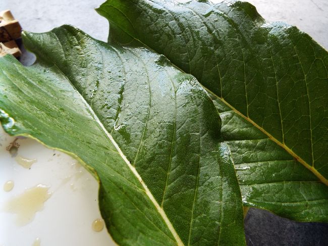 お店のおばあさんに味のことを聞いていたら、持ってきたのがこの葉っぱ。<br />これに包むというのです。