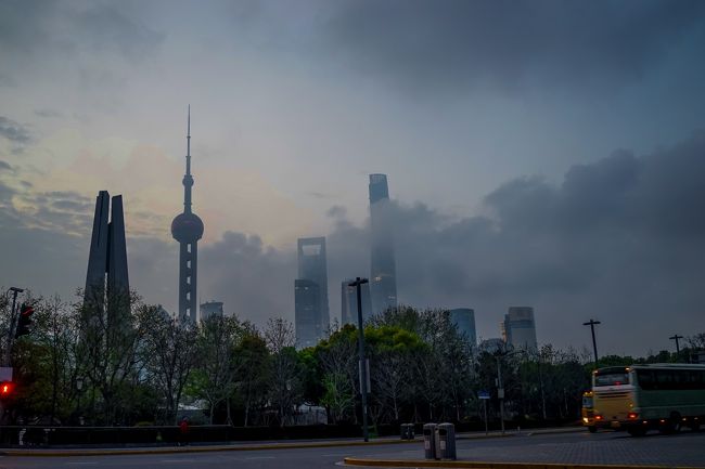 一気に明るくなる時間にきました