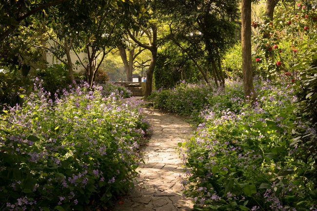 小さいながらお花の植えてある遊歩道みたなものもあったり・・