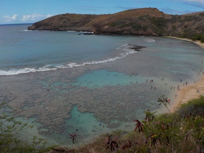 滞在2日目<br /><br />昨年に引き続き、ハナウマ湾へ。<br />今回は達人さんのツアーを申込ましたよ。<br />どうしても亀に会いたくて・・・・<br />『ririkoさん』情報でアランネットから申込ました。